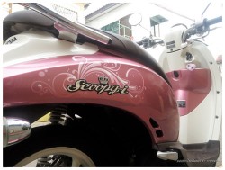 Scoopy-i มือสอง