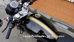 Stallions Centaur 150